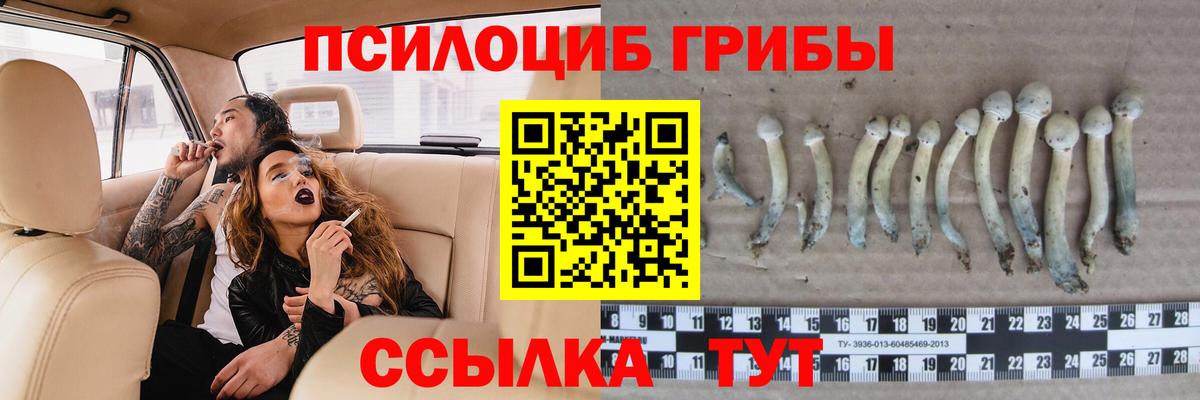 Псилоцибиновые грибы мухоморы  Галлюциногенные грибы Cubensis  Междуреченск  Вход с VPN 